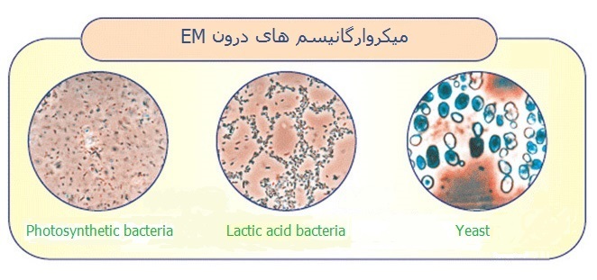 em-effective-microorganisms