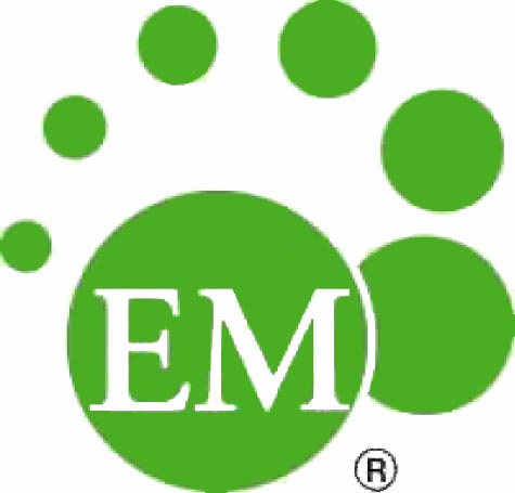 EM Technology