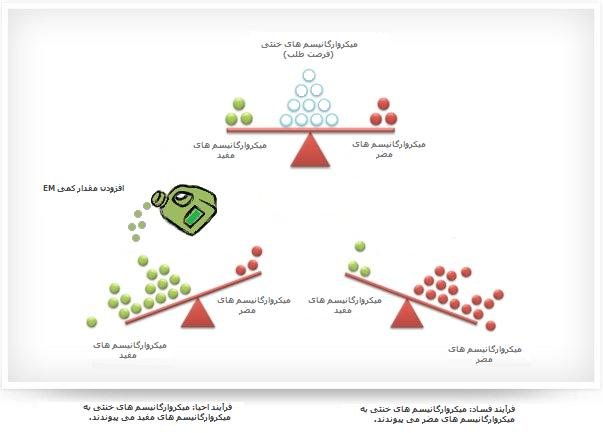 em-balance